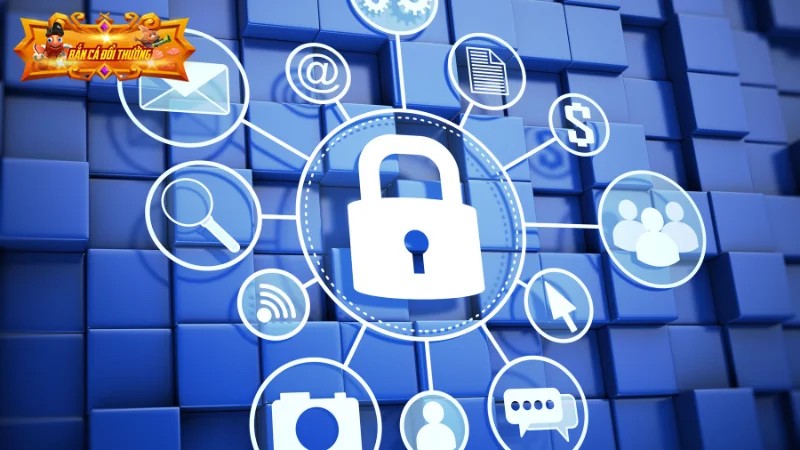 Quyền lợi của hội viên trong chính sách bảo mật tại bancadoithuong.click